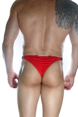 Deluxerie Mens Brief Duston