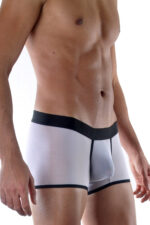 Deluxerie Mens Boxer Cairne 2