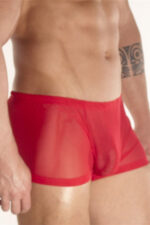 Deluxerie Mens Boxer Charlemagne 2