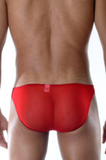 Deluxerie Mens Brief Calhoun