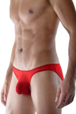 Deluxerie Mens Brief Calhoun 2