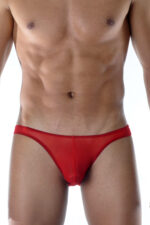 Deluxerie Mens Brief Calhoun 3