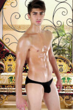 Deluxerie Mens Brief Cleveland 2
