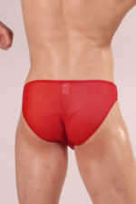 Deluxerie Mens Brief Cobie