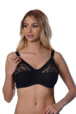 Deluxerie Minimizer Bra Sharma 2