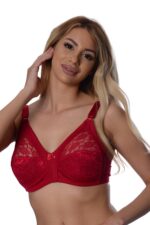 Deluxerie Minimizer Bra Shelly 2