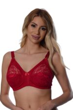 Deluxerie Minimizer Bra Shelly 3
