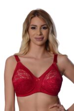 Deluxerie Minimizer Bra Shelly 4