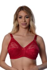 Deluxerie Minimizer Bra Shelly 5