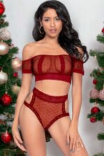 Deluxerie Sexy Bustier Set Ichtaca
