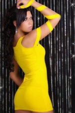 Deluxerie Mini Dress Roselaine