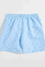 Deluxerie Mens Swimwear Edrick